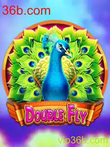 Descubra o Empolgante Mundo de DoubleFly